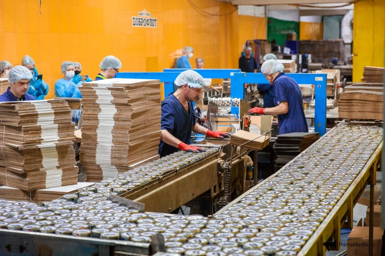 Химкомбинат бор дальнегорский. Предприятия в приморском крае. Владивостокский завод рыбный. Предприятие в приморском крае. Промышленность приморского края.